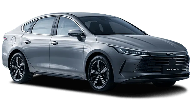 Ficha técnica de BYD King GS